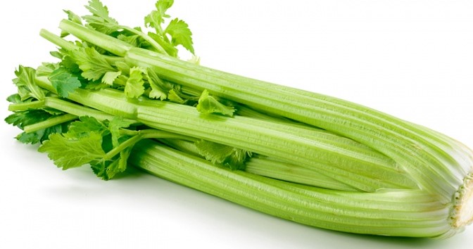 Celery-summer