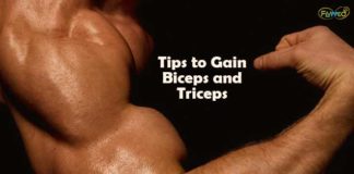 Tips to Gain Biceps and Triceps