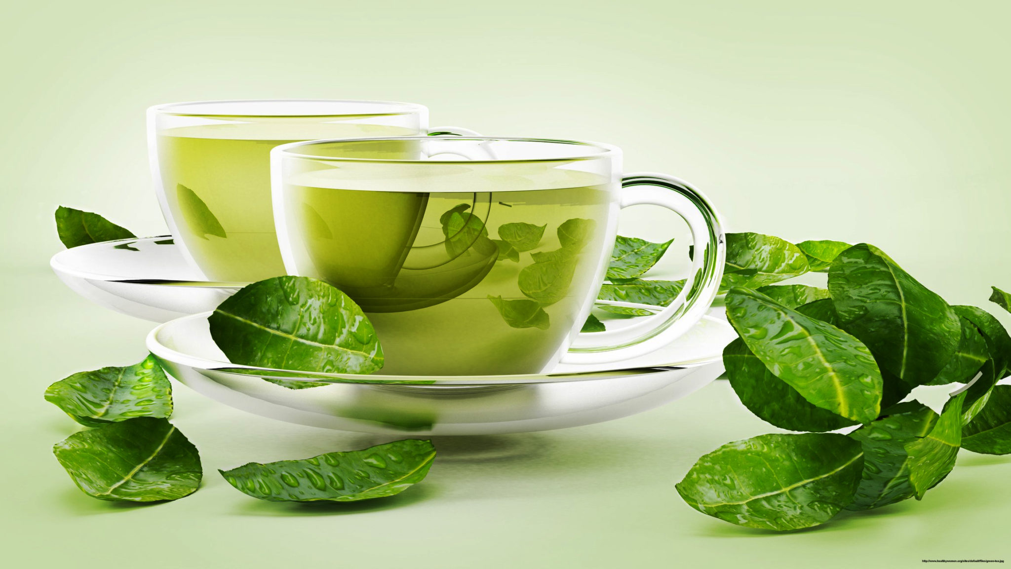 15 Delightful Benefits of Green Tea