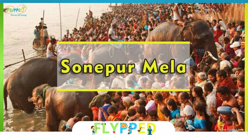 8-Famous-Fairs-in-India-Sonepur-Mela