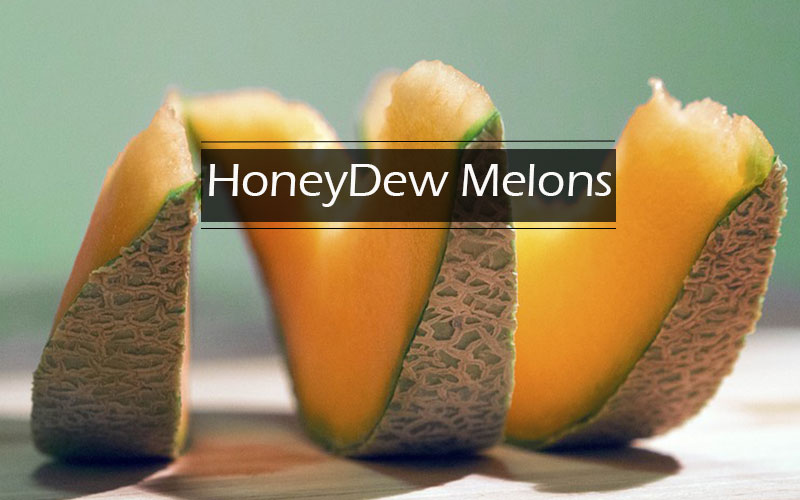 HoneyDew-Melons
