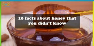 facts about honey