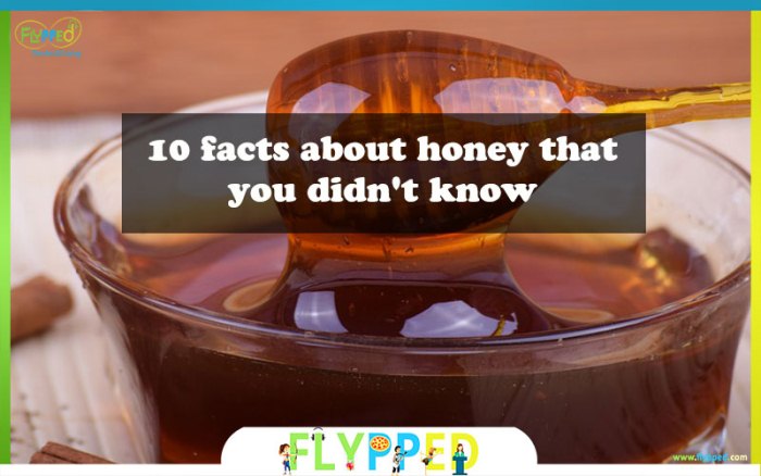 10 facts about honey that you didn't know
