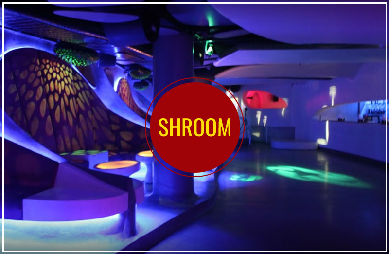 Shroom Club