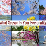 What Season Is Your Personality