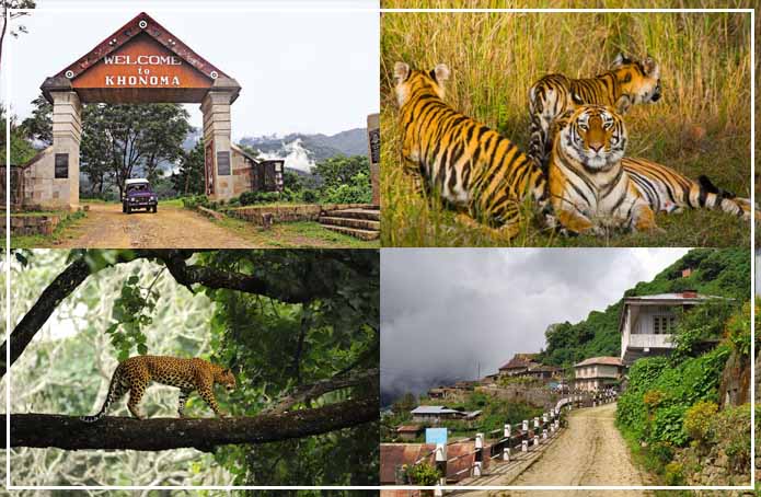 Khonoma Village: A Journey From Endangered Fauna To Asia’s First Green Village