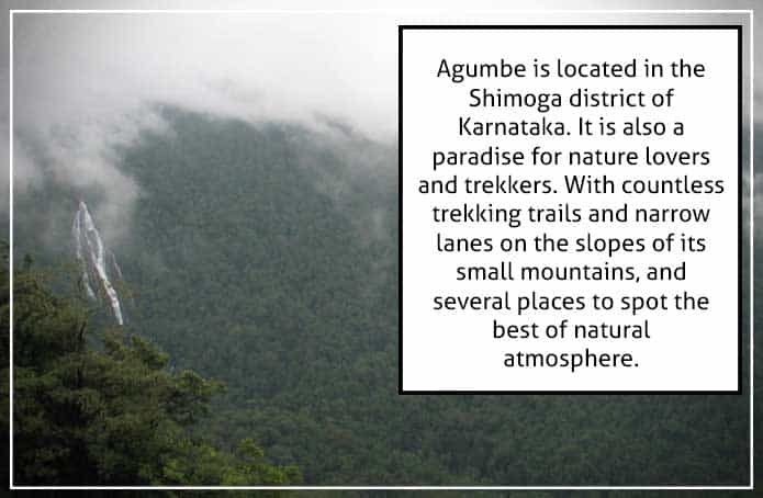 Image result for Western Ghats Travel 2 Agumbe