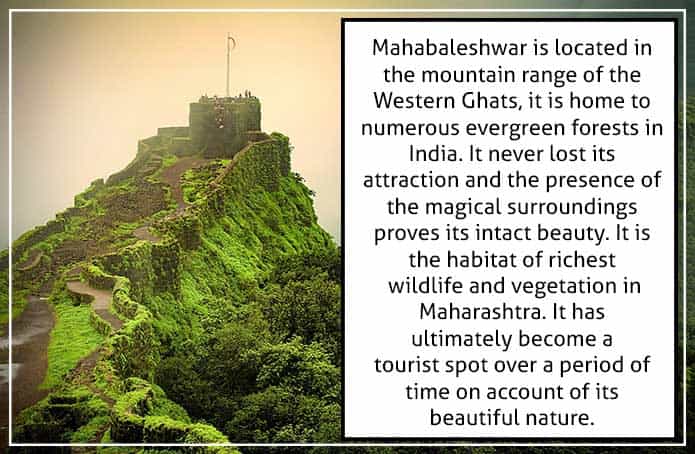 Image result for Western Ghats Travel 5 Mahabaleshwar