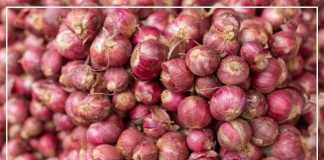 rate of onion per kg in delhi today