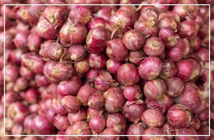 Onion Prices Shoot Up to Record 4 Years High