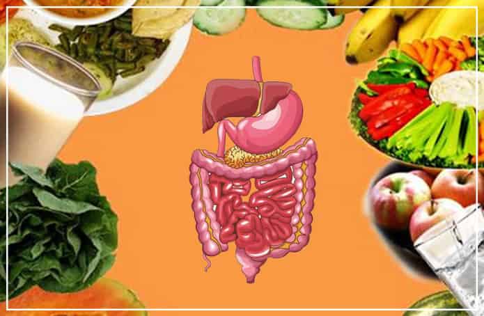tips to build digestive health