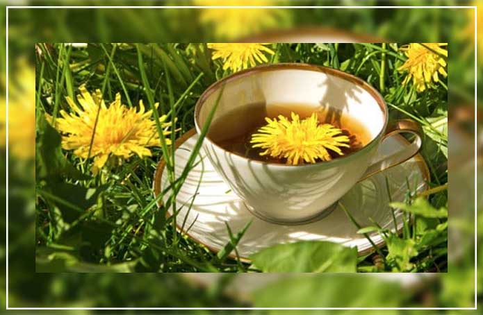Image result for Dandelion Tea tea