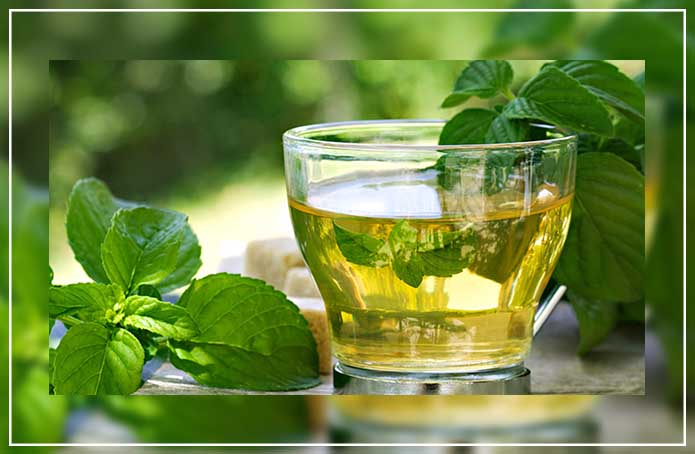 Text Box: This tea is made from the dried leaves of the peppermint plant. It has a bold, refreshing and minty taste with a strong smell. The Peppermint tea can be an effective digestive aid and it may relieve stomach upsets and discomfort. 

