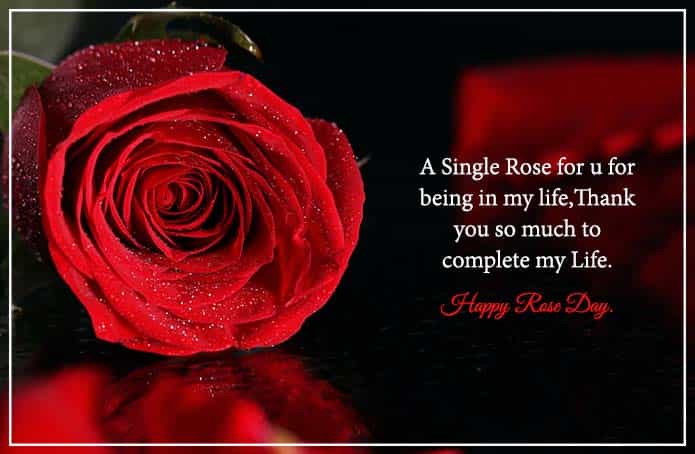 Quotes for the Rose Day