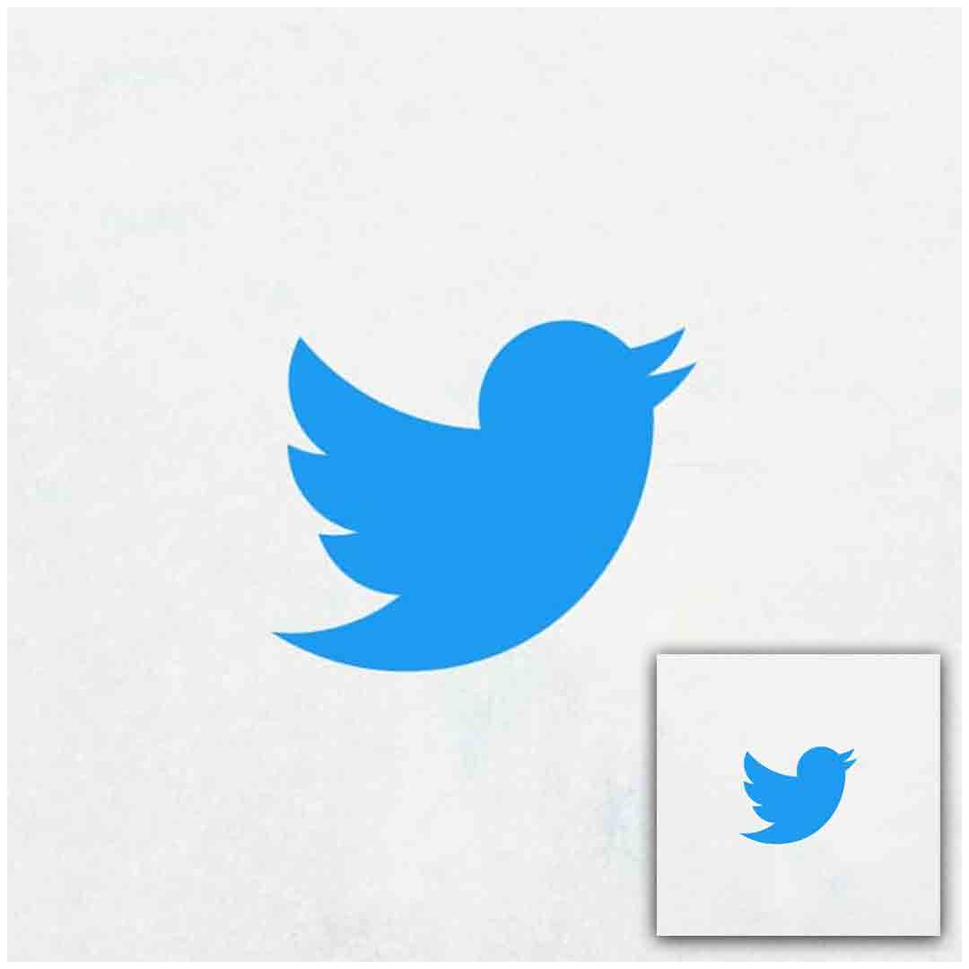 Twitter New Logo 