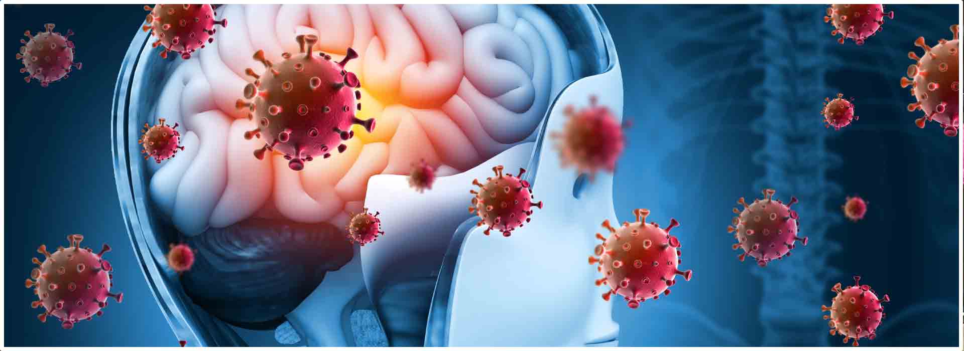 Nipah Virus Outbreak in Kerala: Rising Concerns as Cases Reach Five in Kerala; 789 contacts kept under watch.