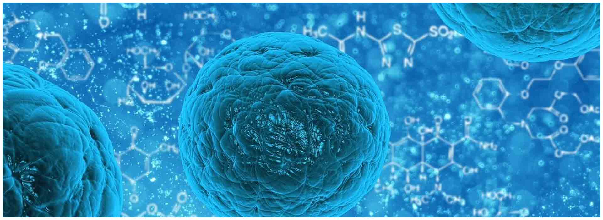 Expert Warns of 'Disease X': A Potential Threat 20 Times Deadlier than COVID-19