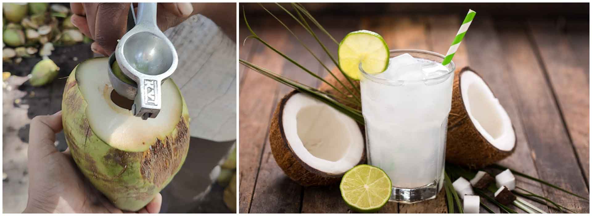 The Advantages and Disadvantages of Starting Your Day with Coconut Water and Lemon